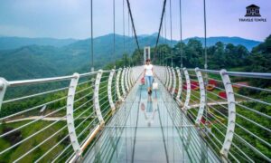 glass-bridge-rajgir-timings-ticket-price-and-online-booking
