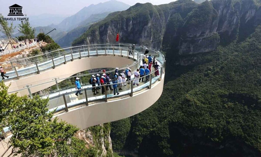 nature-safari-at-the-bridge