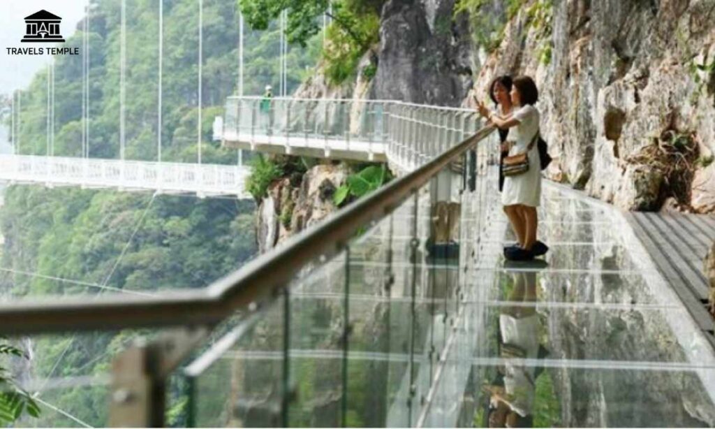 rajgir-glass-bridge-address-and-contact-number