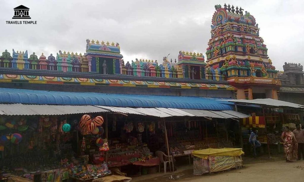 visitor-tips-and-important-points